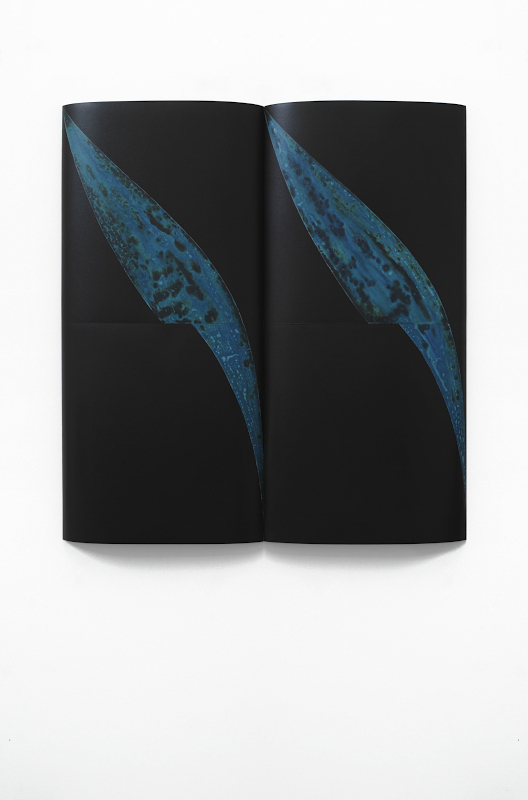 https://nikolai-ishchuk.com/files/gimgs/th-41_Blue_Slash_1_front_800px_WHITE.jpg